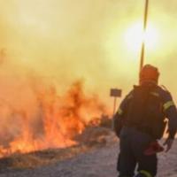 Ugašeni svi šumski požari u Alžiru