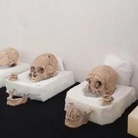 Pored piramide Maja otkriveni ostaci obezglavljenih muškaraca i deformirane lobanje