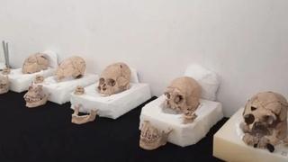 Pored piramide Maja otkriveni ostaci obezglavljenih muškaraca i deformirane lobanje