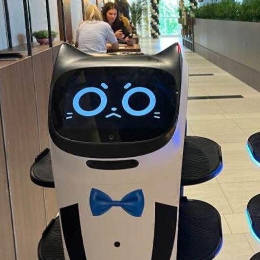 Prvi roboti konobari u BiH poslužuju goste u Derventi