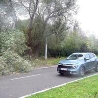 Oluja na sjeveru Evrope: Poginule dvije osobe, poremećaji u saobraćaju
