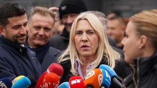 Cvijanović: Nije Merkel predložila Šmita da se iživljava na institucijama u BiH, nego da ga udomi
