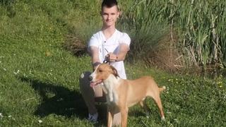 Video / Takmičenje u Zagrebu: Svjetsku titulu najljepšeg ponio je pas Roni iz BiH