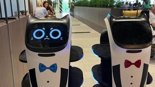 Prvi roboti konobari u BiH poslužuju goste u Derventi