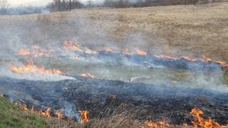 Video / Požar na putu Bosanski Petrovac - Bihać: Vatra stigla do same ceste!