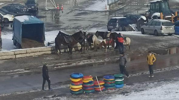 Konje usporila cesta na kojoj nije bilo snijega - Avaz