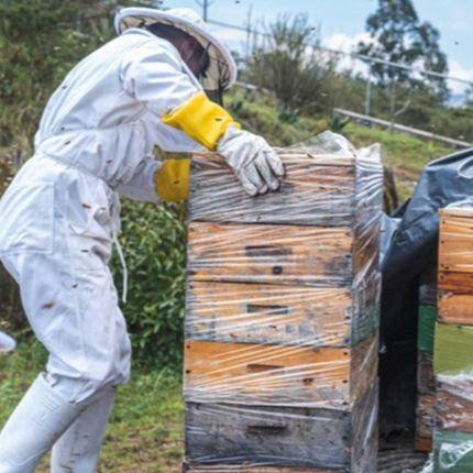 Pet miliona pčela ispalo s kamiona u Kanadi