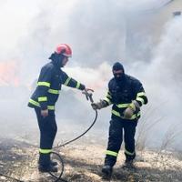 Potresni prizori iz Dalmacije: Mještani od požara bježe uz svoje konje i pse…