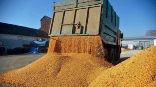 EU će uvesti carine na uvoz ruskog i bjeloruskog žita
