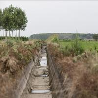 Zabrinjavajuća prognoza za Evropu: Očekuju se žestoke suše u nadolazećem ljetu