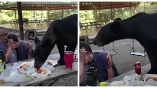 Medvjed upao na slavlje i počeo jesti, ljudi hvale reakciju majke