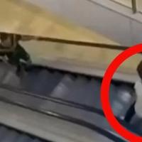 Zadivljujući snimak iz Sidneja: Trenutak u kojem je heroj stao ispred naoružanog napadača da bi zaštitio potpune strance