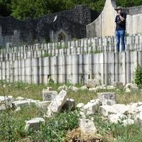 Deset mjeseci od devastacije Partizanskog groblja: Još nema rezultata istrage