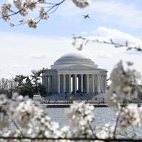 Japanske trešnje najavile proljeće u Vašingtonu