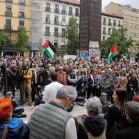 Brojni umjetnici i intelektualci na skupu u Madridu pružili podršku Palestini
