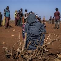 WFP: Iz Sudana stižu vijesti o umrlima od gladi
