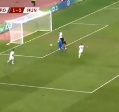 Gol Petkovića u 24. minuti