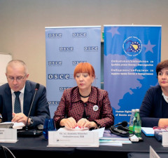 Mitrović, Džumhur i Jukić: Podizati svijest kod građana i u institucijama 