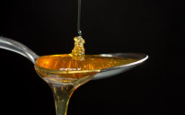 Za kilogram meda potrebno izdvojiti pravo bogastvo